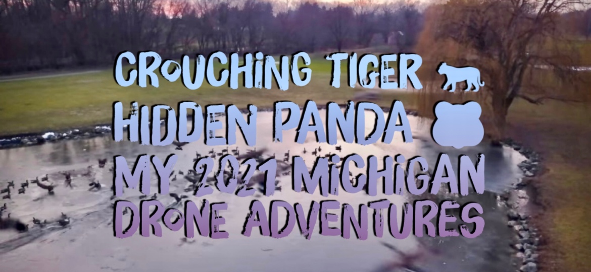 Crouching Tiger 🐅 Hidden Panda